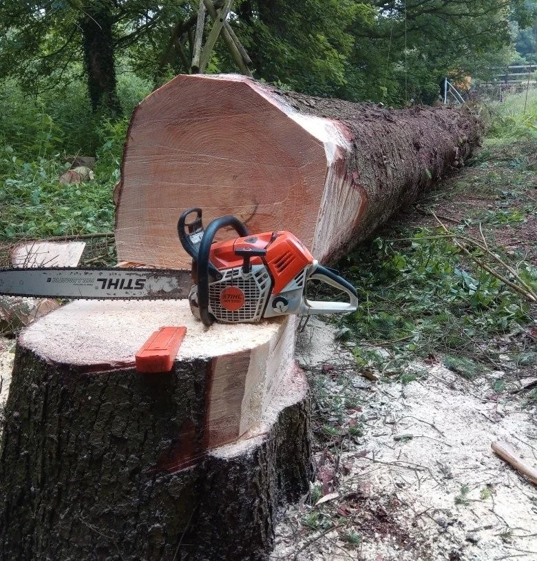 Tree Felling