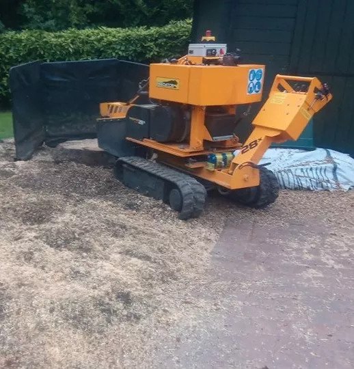 Stump Grinding